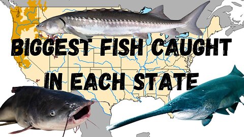 The Biggest Fish Caught In Every State (and location)