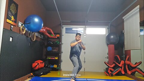 WTD Mantis Kick to Lotus Kick sequential