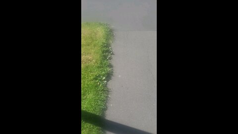 This is what was captured after a big argument