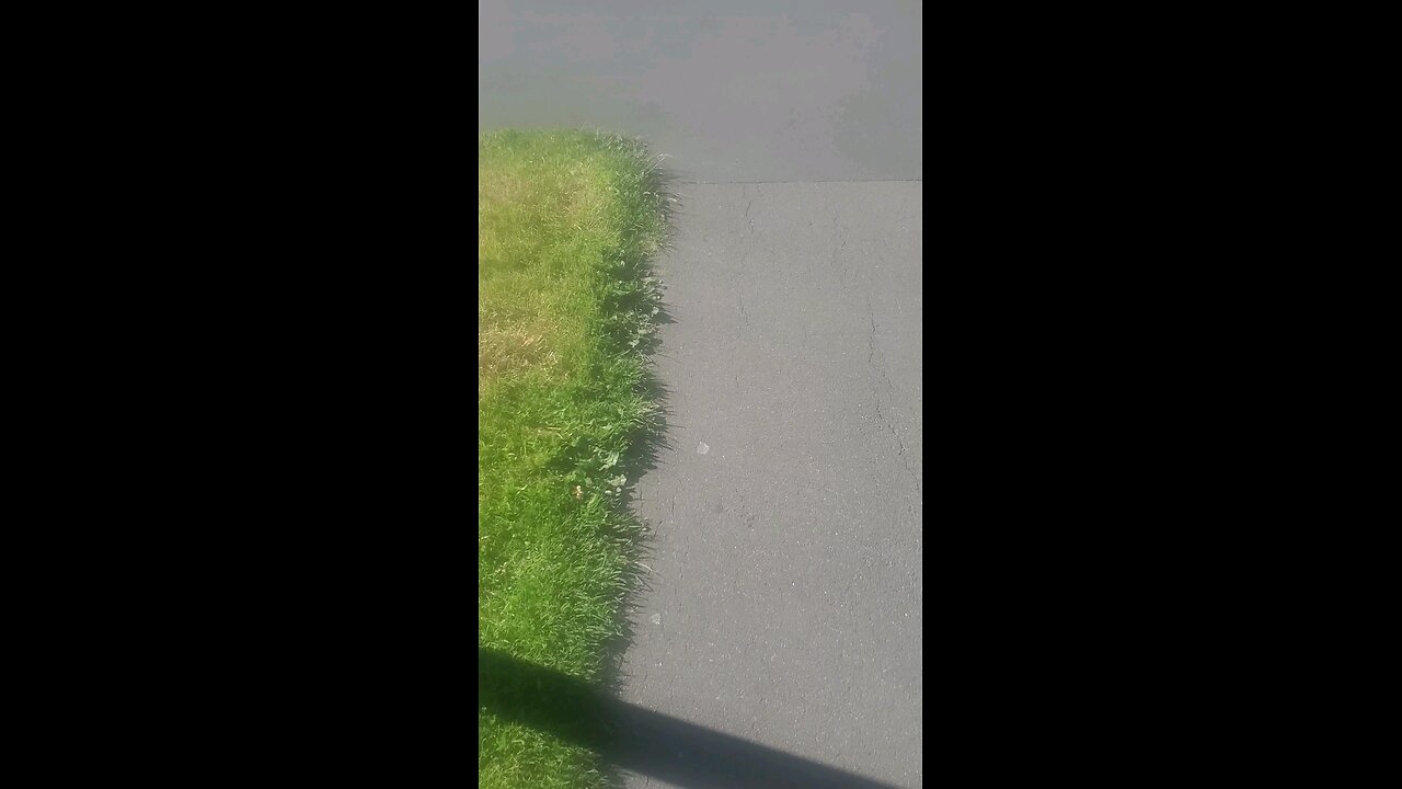 This is what was captured after a big argument