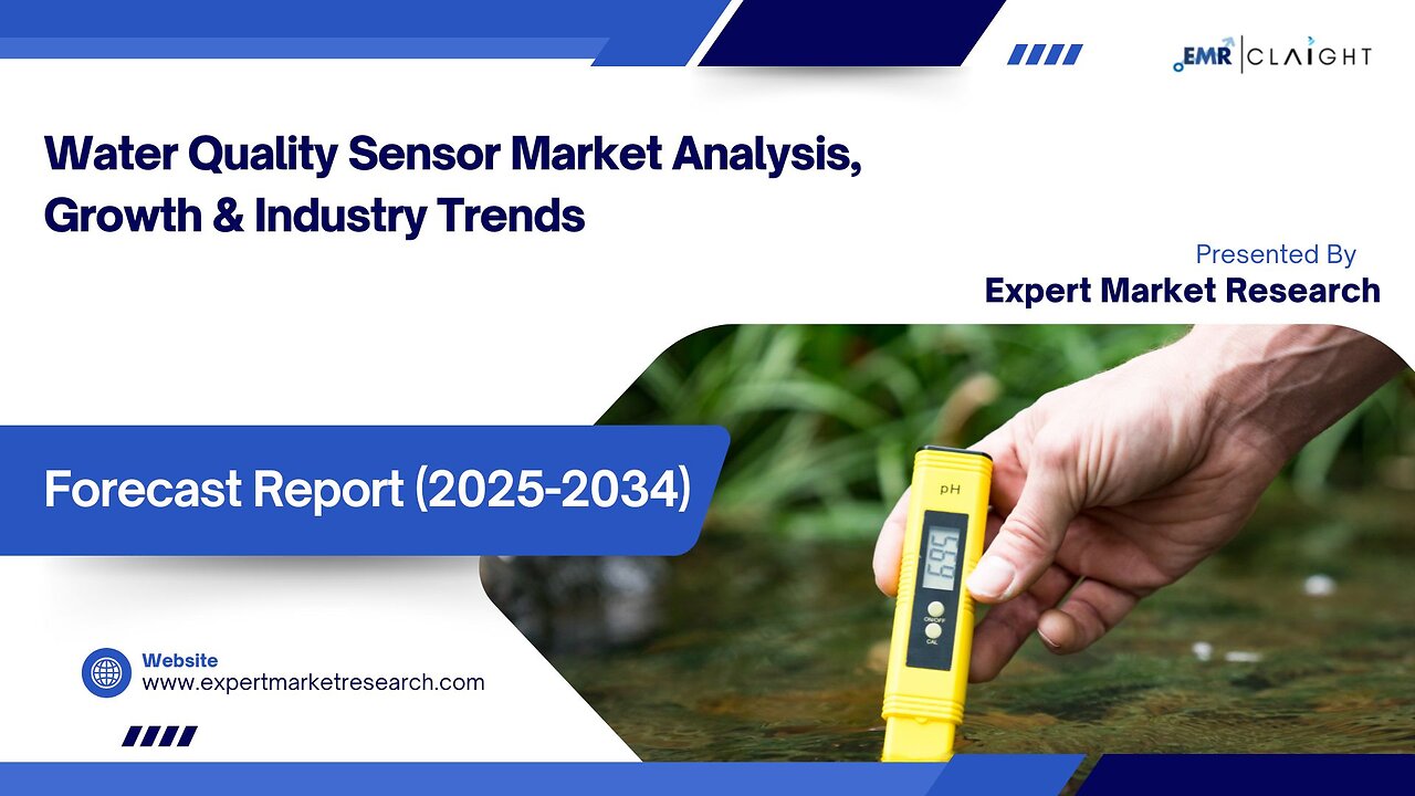 Water Quality Sensor Market| Trends, Growth & Forecast 2025-2034