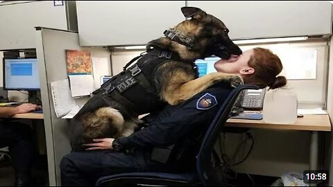 When a Police Dog Becomes a Comedian 😂 Funny Dog Videos 2025