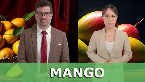 (478) Manga, Mango | AUSWANDERN in die TROPEN