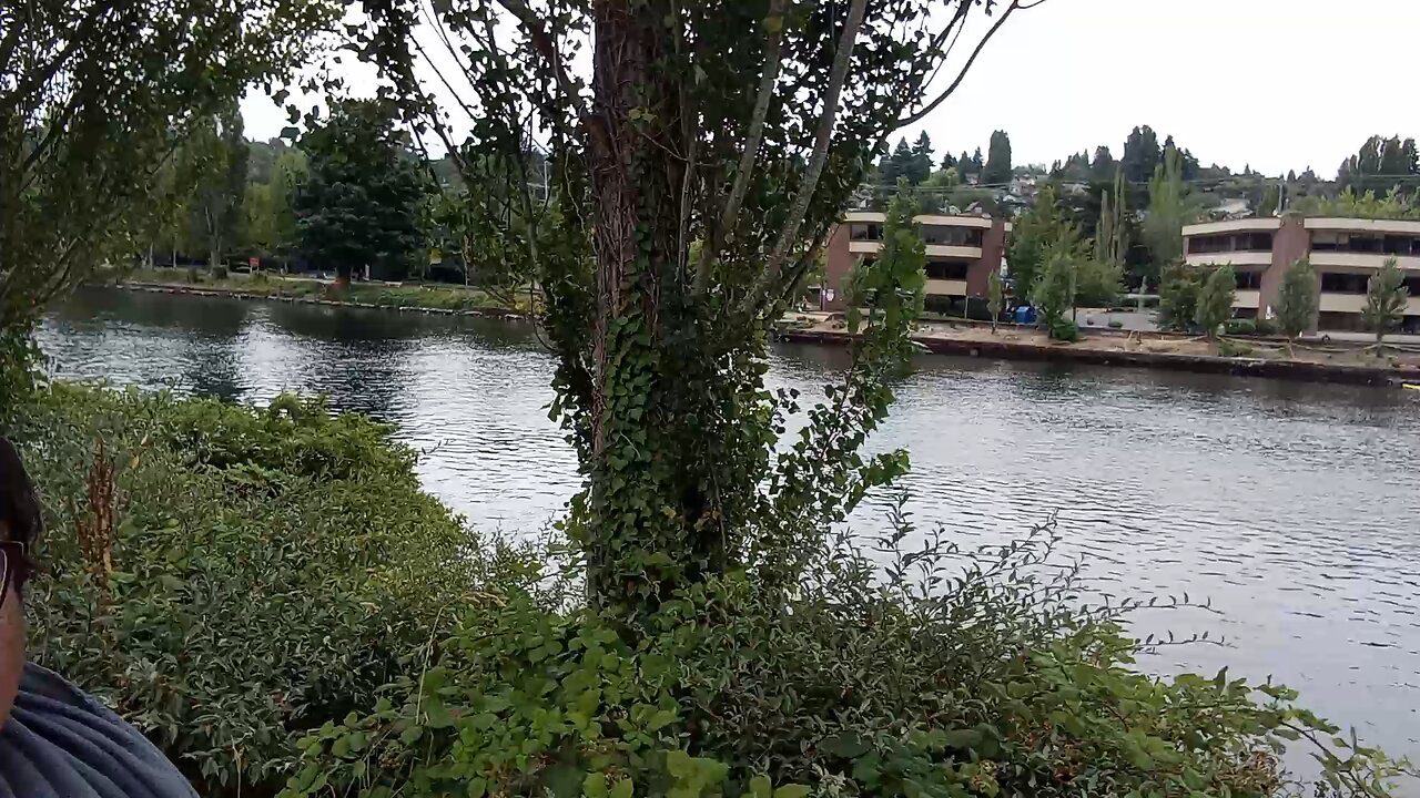 Google Fremont Headquarters check out the fair, I am visiting by the river