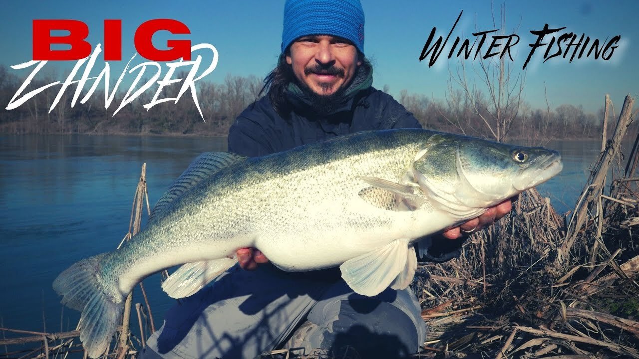 WINTER Fishing for ZANDER on the Po River