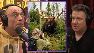 Joe Rogan & Dava Landau: The Most DANGEROUS Animal To Encounter In The Wild!