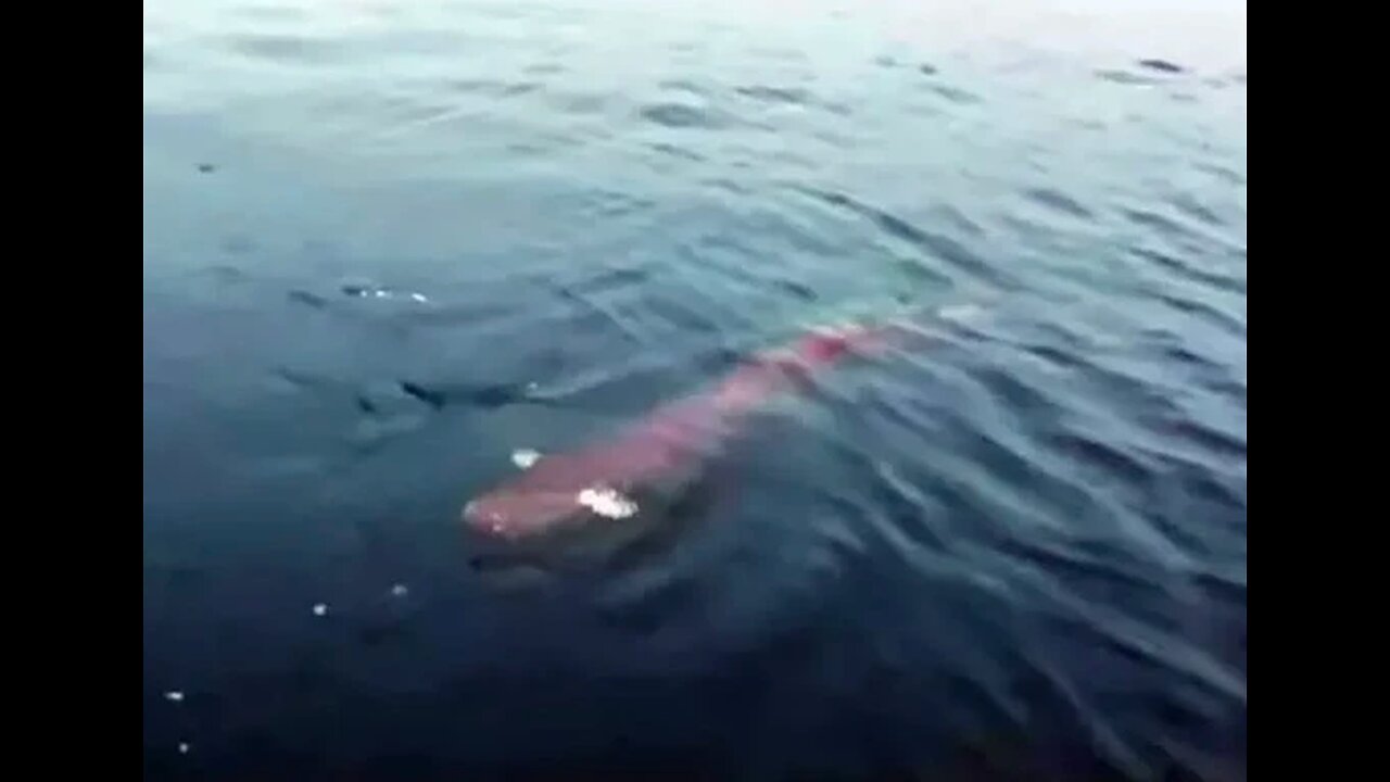 Sun Moon Lake Monster