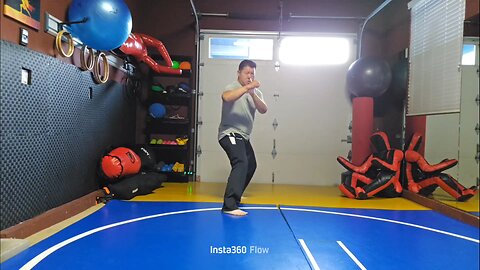 WTD 2 Step Kick Combination 128