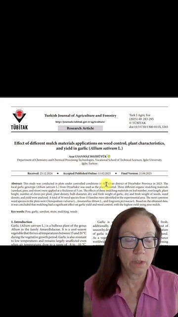 Mulch Garlic for Better Yields