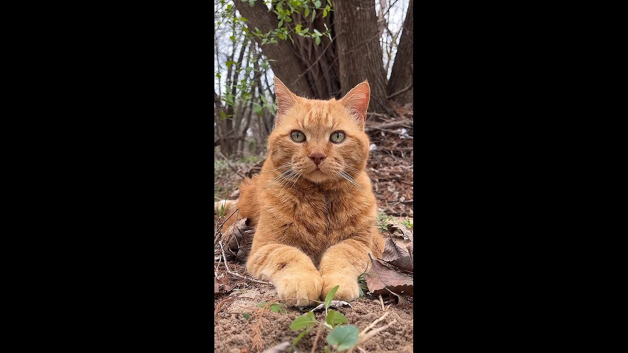 Meditation in nature.