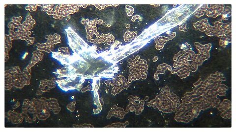 "Exploring Hydrogels: The Programmable Human Interface in COVID Vaccines"