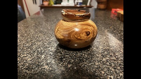 LIVE EDGE UNKNOWN WOOD POT