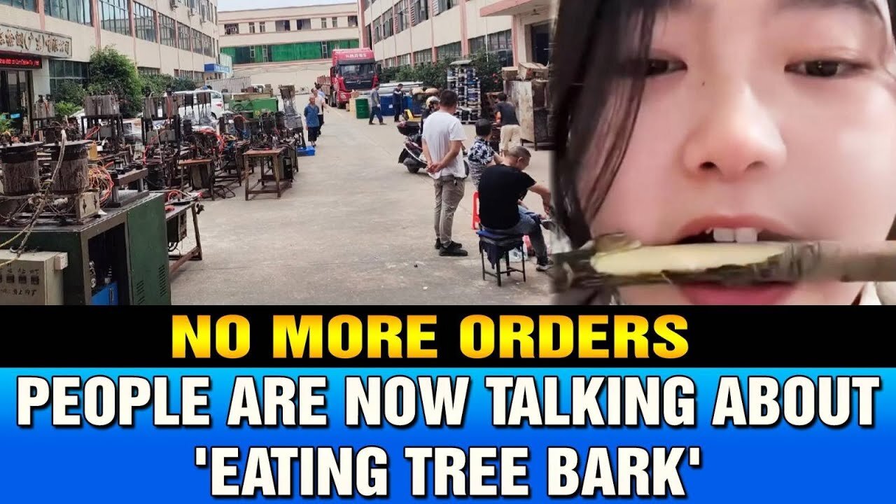 No more orders; factories across China are closing. People are now talking about 'eating tree bark'
