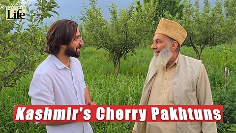 Kashmir's Cherry Pakhtuns