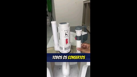 How to fix a toilet flush