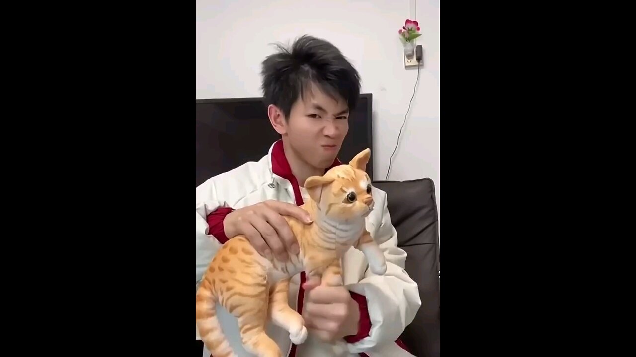 funny 🤣🤣🤣 a cat got scared of what he was doing 🤣🤣🤣