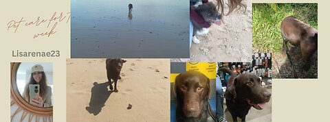 Pet care for the week