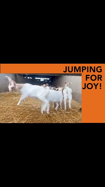 Arla Ditches Bovaer!