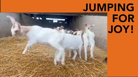 Arla Ditches Bovaer!