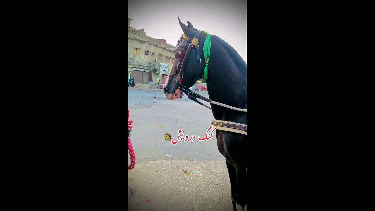 onlymusa