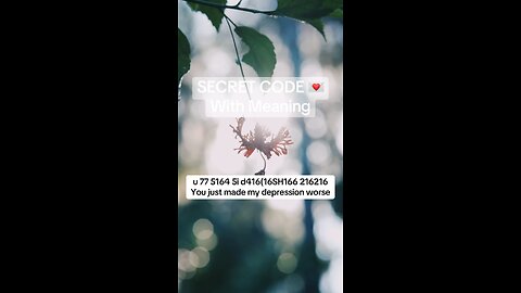 Secret code with meaning u 77 5164 5i d416(16SH166 216216