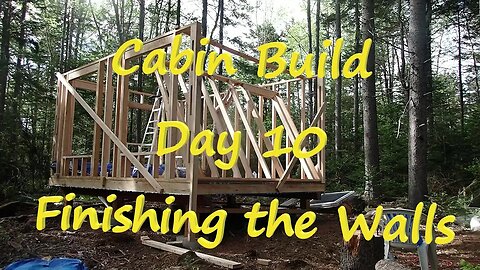 Off-Grid Cabin Build Day 10 - Finishing the Walls - June 2022