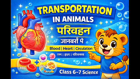 Transportation in Animals | Blood, Heart & Circulation | Life Processes | Curious Cub