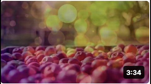 "Ancestral Natural Antibiotics: 10 Alternatives to Modern Pills"