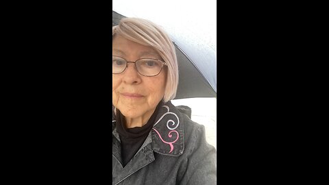 Going to Walmart on the bus