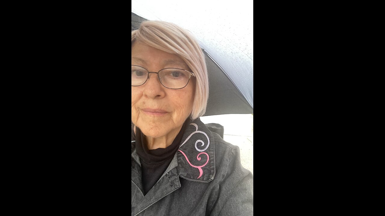 Going to Walmart on the bus