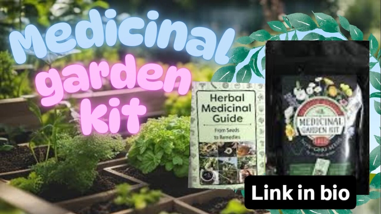 Why Every Home Needs a Medicinal Garden Kit