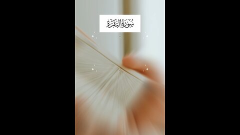 Follow if you love Allah / Surah Al Baqarah Ayat 67 #quran #tafseer #islamicreminders #viralvideos
