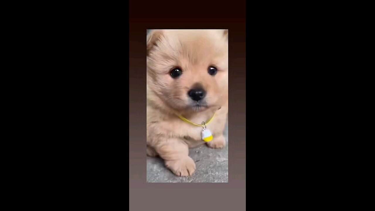 भोली सी सुरत आखो मे मस्ती