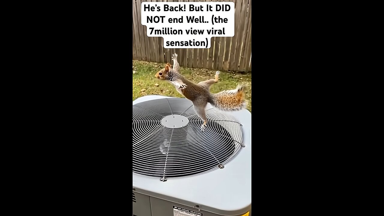 He’s BACK! But It DID NOT End Well 😂🫣 #funny #squirrel #video #viralvideo #viral