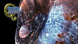 Truth Quest with Aaron Moriarity #728"FULL DISCLOSURE"