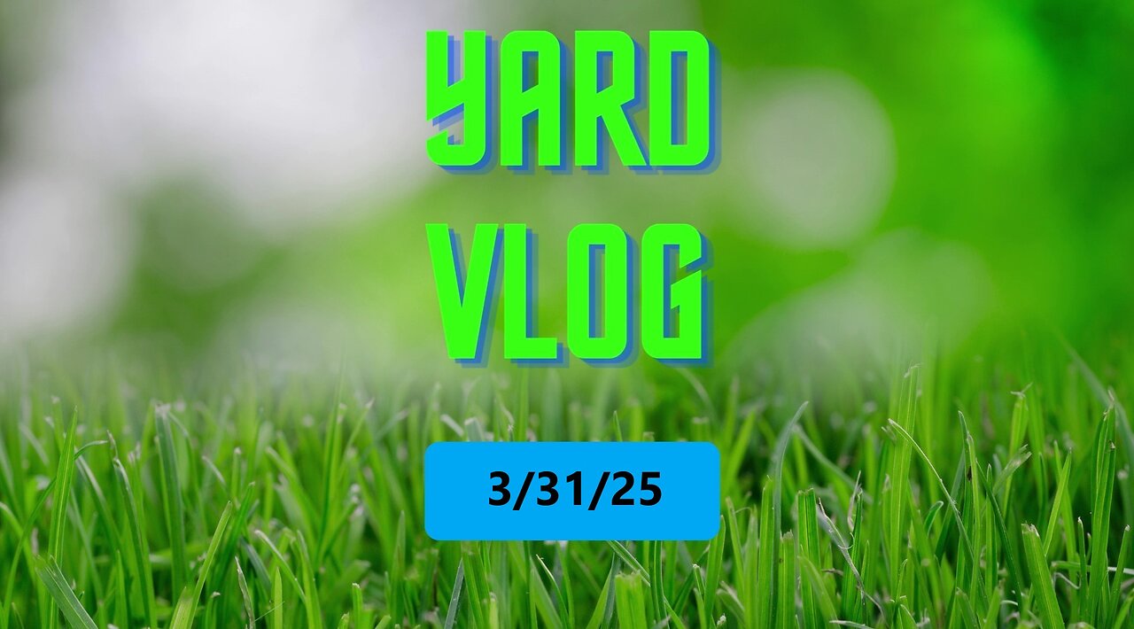 Yard Vlog 3/31/25