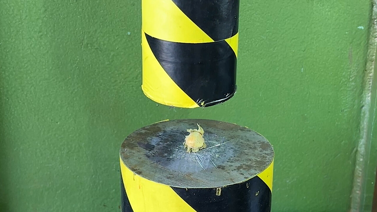 Hydraulic Press Vs