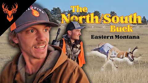 The North/South Buck | Montana Pronghorn Hunting - Pronghorn Paradise has Rattlesnakes everywhere!