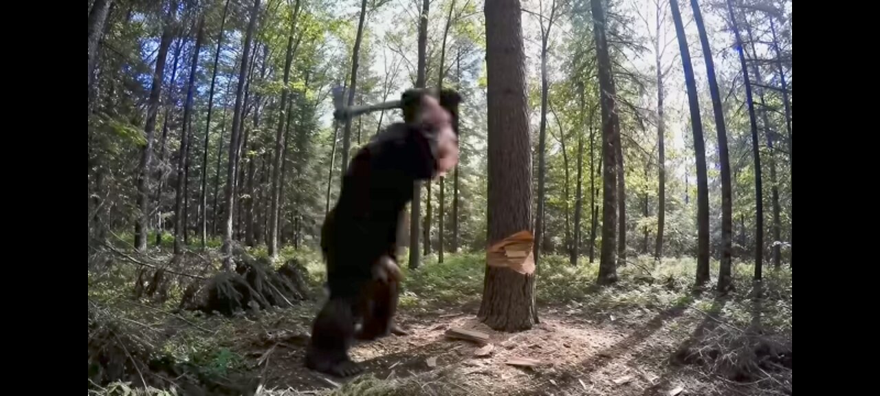 BIGFOOT BUILDS A LOG CABIN