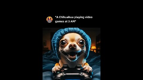 Chihuahua Playing Video Games at 3AM🐶🥶