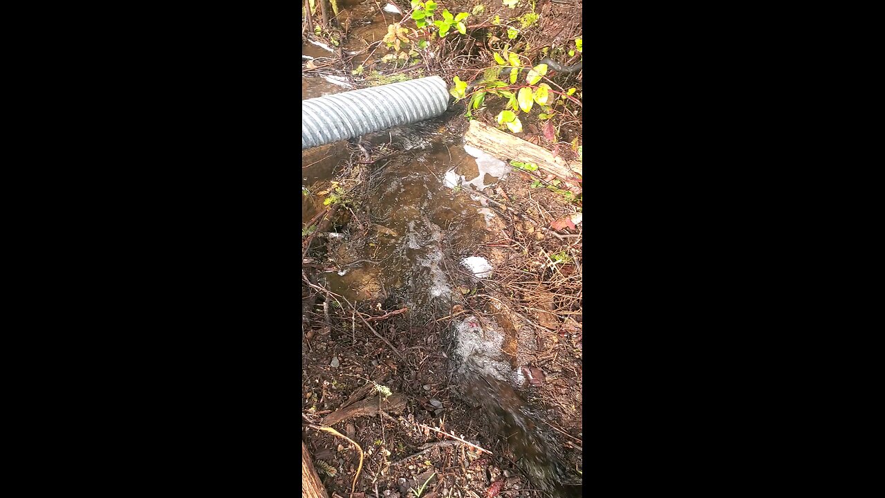 Result of flooding