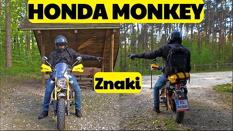 Znaki na drodze