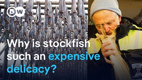 Stockfish: A prized but pricey delicacy from Norway | DW News