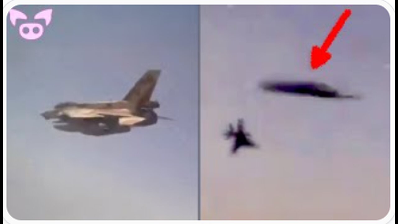 Weird Videos No One Can Rationally Explain - Slapped Ham