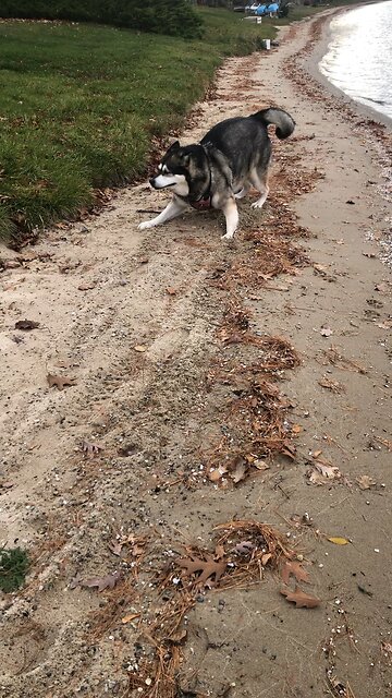 Thursday November 6, I know how to live on almost nothing