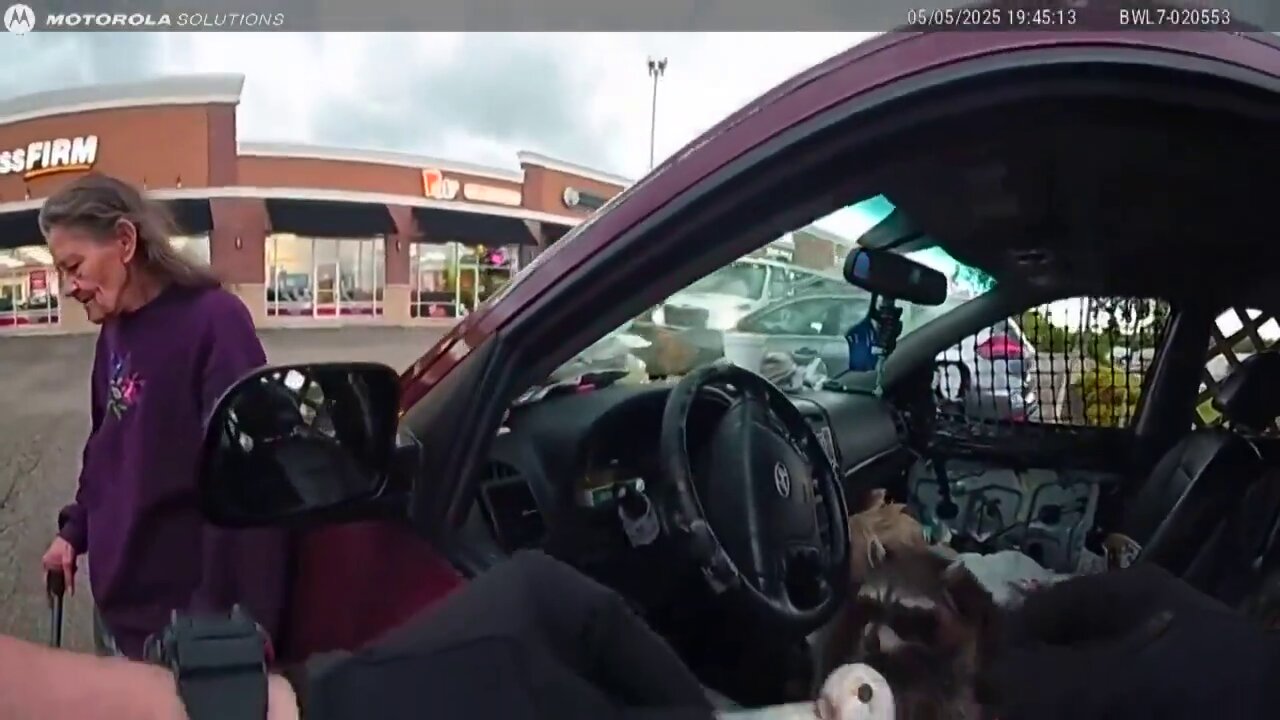 A raccoon trying to smoke a meth pipe during a vehicle search in Springfield Township, Ohio. 🤦🏻‍♂️
