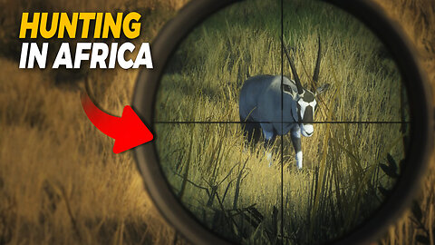 Blue Wildebeest and Gemsbok hunting in Africa | theHunter: Call of the Wild