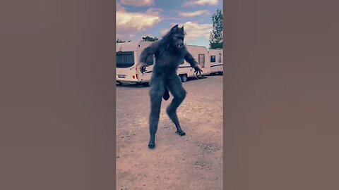 Animal Migration Journeys! #animaljourney #amazingtransformation #animals #animalgrowth #wildlife