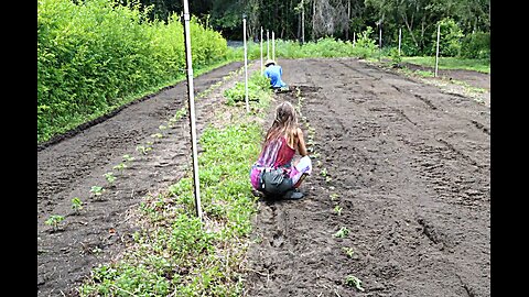 Canon Camera Time Lapse Feature Captured Watermelon Planting