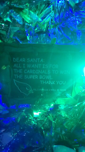 Christmas 🎄🎅 🎁 🤶 Wish for #BBQRANDO 🌵🤠